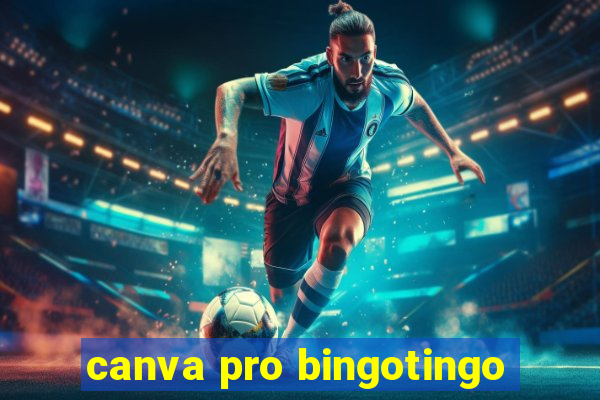 canva pro bingotingo